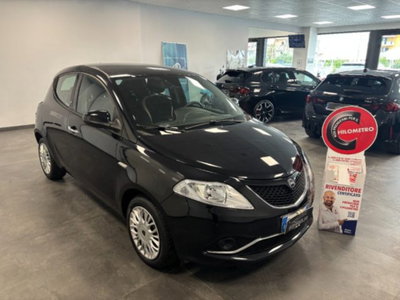 Lancia Ypsilon 1.3 MJT 16V 95 CV 5 porte S&S Gold usata
