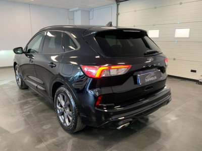 Ford Kuga 1.5 EcoBlue 120 CV aut. 2WD ST-Line X Design (4)
