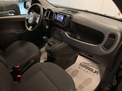 Fiat Panda 1.0 firefly hybrid s&s 70cv 5p.ti (17)