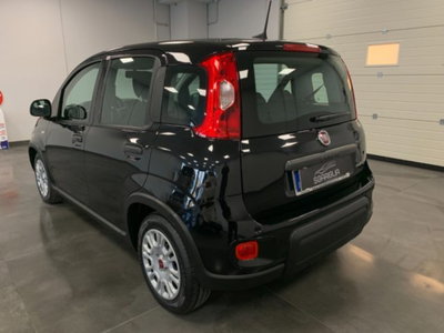 Fiat Panda 1.0 firefly hybrid s&s 70cv 5p.ti (4)