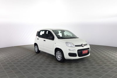Fiat Panda 1.0 firefly hybrid Icon s&s 70cv (2)