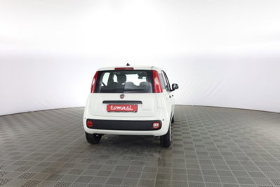 Fiat Panda 1.0 firefly hybrid Icon s&s 70cv (5)