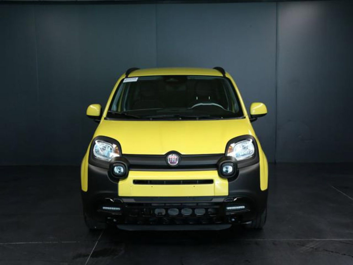 Fiat Pandina 1.0 firefly hybrid s&s 65cv (6)