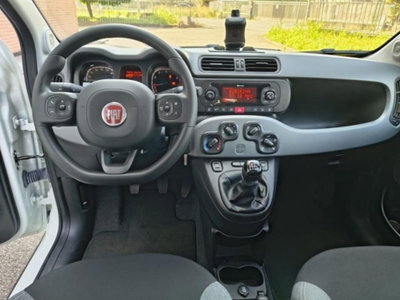 Fiat Panda 1.0 firefly hybrid s&s 70cv 5p.ti (11)