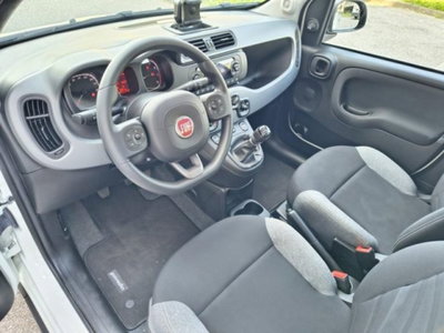 Fiat Panda 1.0 firefly hybrid s&s 70cv 5p.ti (12)