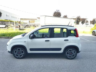 Fiat Panda 1.0 firefly hybrid s&s 70cv 5p.ti (6)