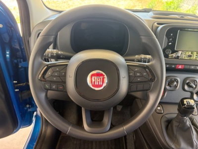 Fiat Pandina 1.0 firefly hybrid Icon s&s 65cv (12)