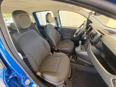 Fiat Pandina 1.0 firefly hybrid Icon s&s 65cv (13)