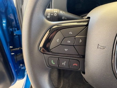 Fiat Pandina 1.0 firefly hybrid Icon s&s 65cv (17)