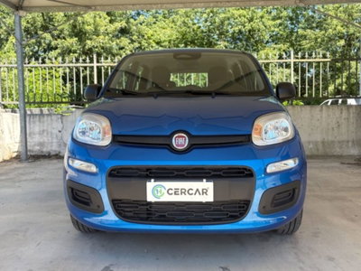 Fiat Pandina 1.0 firefly hybrid Icon s&s 65cv (2)