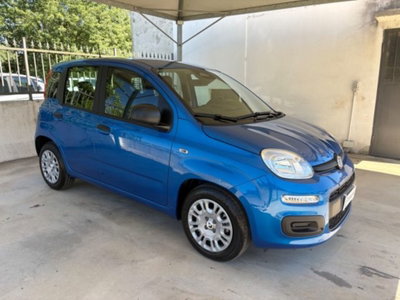 Fiat Pandina 1.0 firefly hybrid Icon s&s 65cv (3)