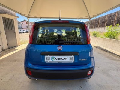 Fiat Pandina 1.0 firefly hybrid Icon s&s 65cv (5)
