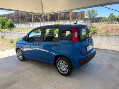 Fiat Pandina 1.0 firefly hybrid Icon s&s 65cv (6)