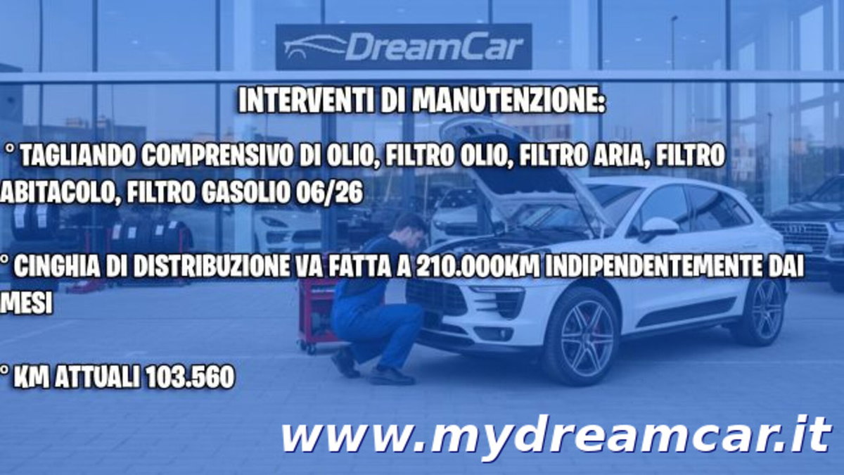 SEAT Ibiza 1.4 TDI 90 CV 5p. SOL (2)