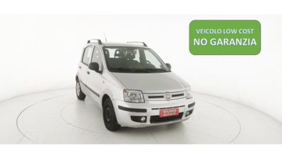 Fiat Panda 1.2 Dynamic usata