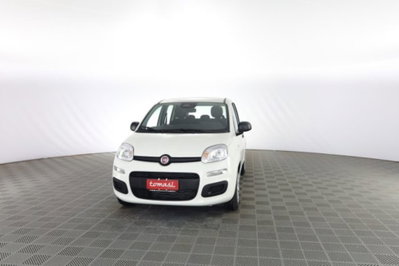 Fiat Panda 1.0 firefly hybrid Icon s&s 70cv nuova