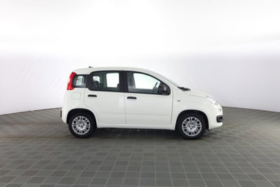Fiat Panda 1.0 firefly hybrid Icon s&s 70cv (3)