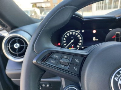 Alfa Romeo Tonale Tonale 1.6 diesel 130 CV TCT6 Super (16)