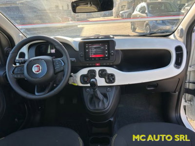 Fiat Panda Cross 1.0 firefly hybrid Cross s&s 70cv 5p.ti (10)
