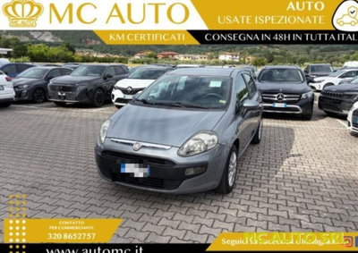 Fiat Punto Evo 1.2 5 porte S&S Active (3)