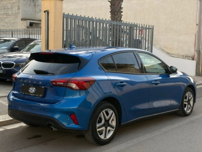 Ford Focus 1.5 EcoBlue 120 CV 5p. Business (3)