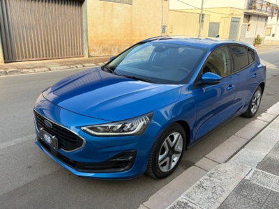 Ford Focus 1.5 EcoBlue 120 CV 5p. Business (6)