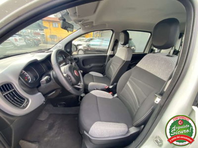 Fiat Panda 1.0 firefly hybrid s&s 70cv 5p.ti (10)