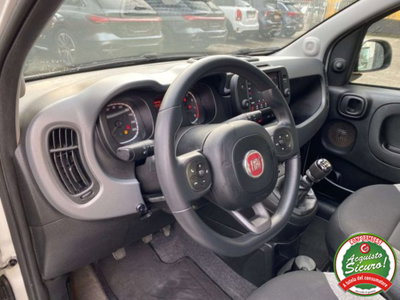 Fiat Panda 1.0 firefly hybrid s&s 70cv 5p.ti (11)