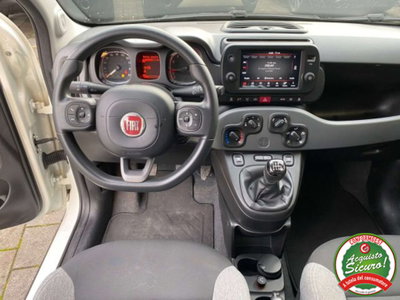 Fiat Panda 1.0 firefly hybrid s&s 70cv 5p.ti (13)