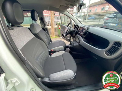 Fiat Panda 1.0 firefly hybrid s&s 70cv 5p.ti (15)
