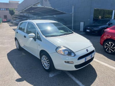 Fiat Punto 1.2 8V 5 porte Young usata
