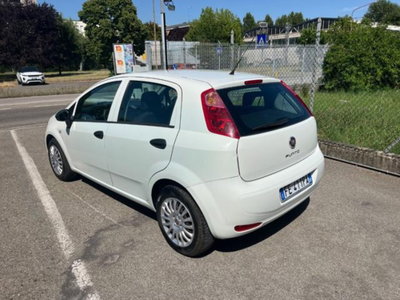Fiat Punto 1.2 8V 5 porte Young (3)