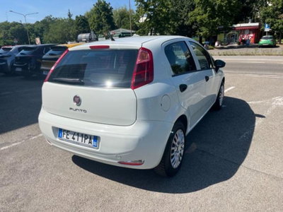 Fiat Punto 1.2 8V 5 porte Young (4)