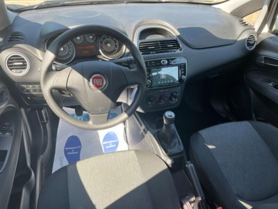 Fiat Punto 1.2 8V 5 porte Young (9)
