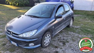 Peugeot 206 5p. Enfant Terrible usata