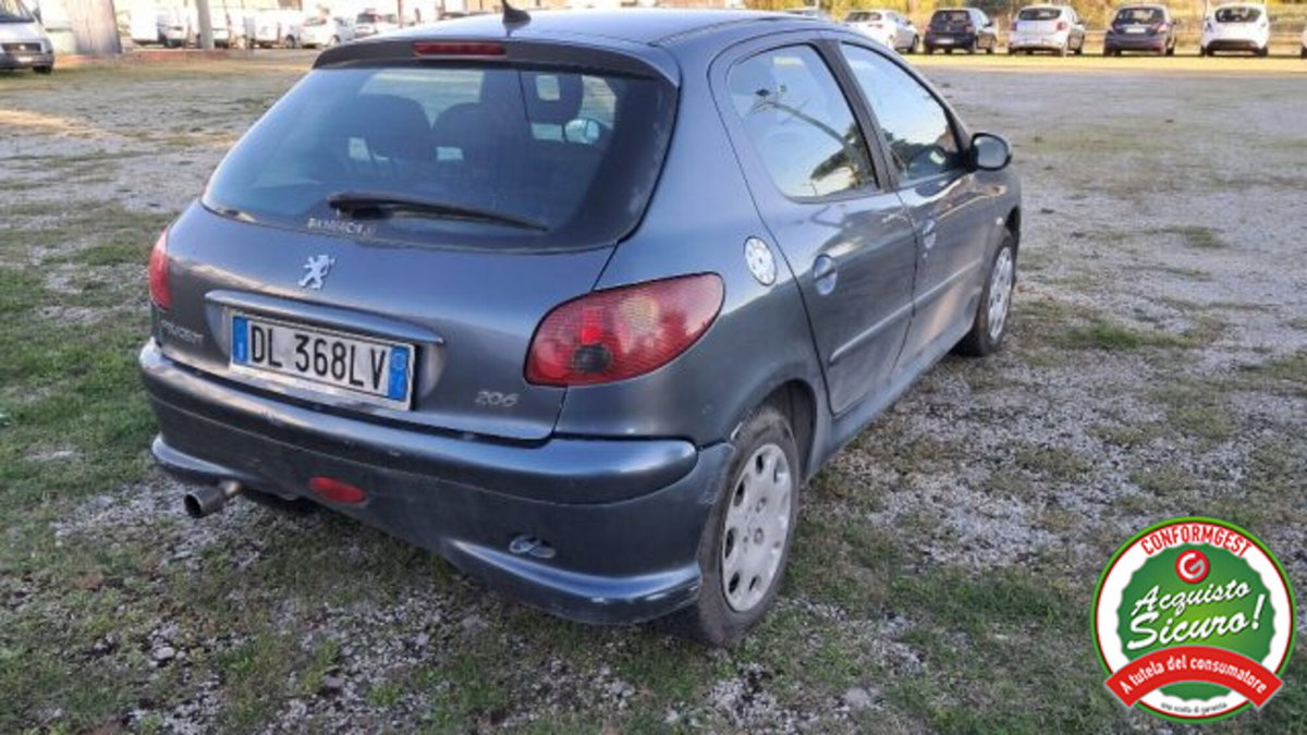 Peugeot 206 5p. Enfant Terrible (2)
