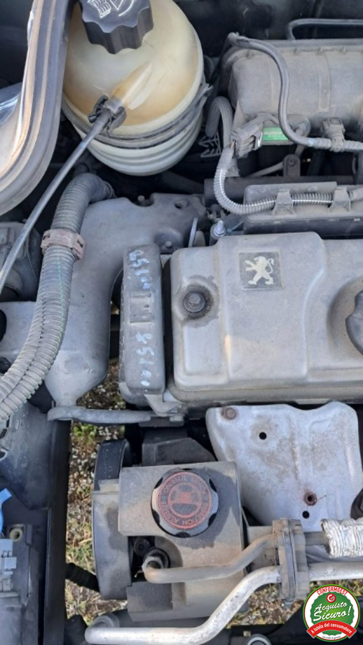 Peugeot 206 5p. Enfant Terrible (7)