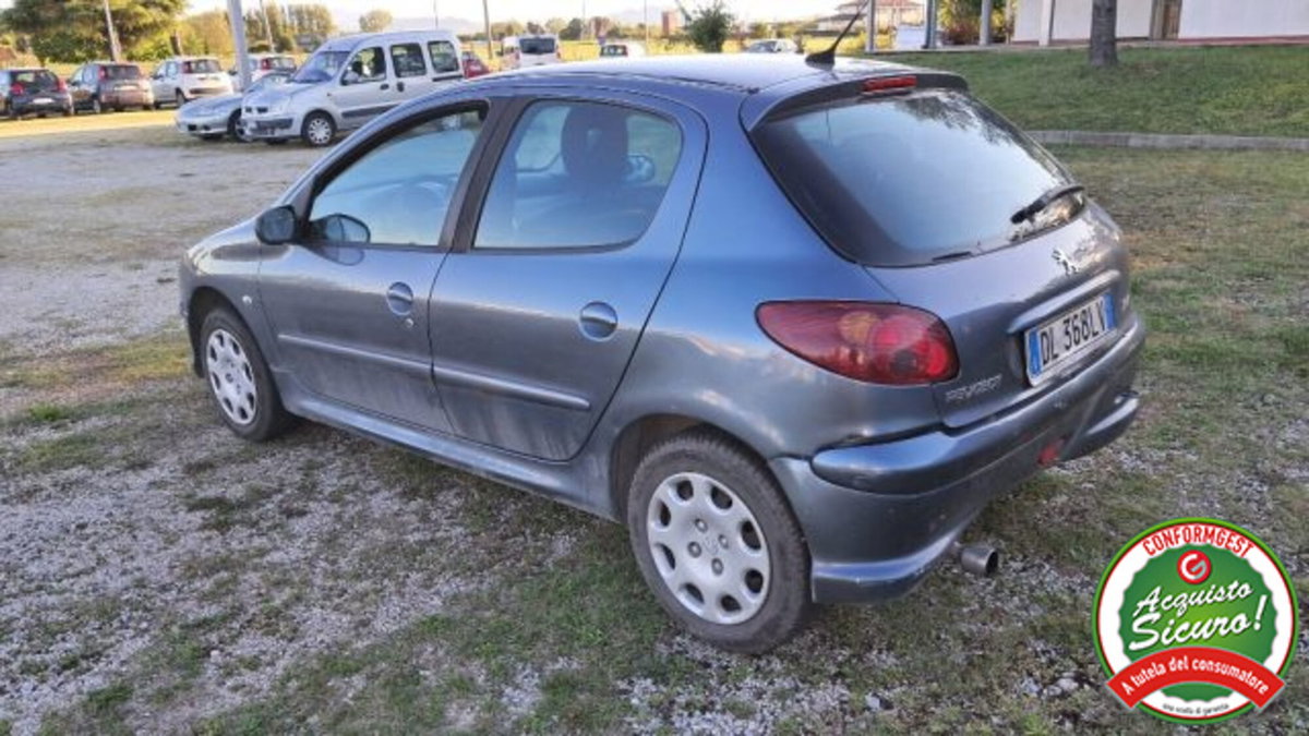 Peugeot 206 5p. Enfant Terrible (8)