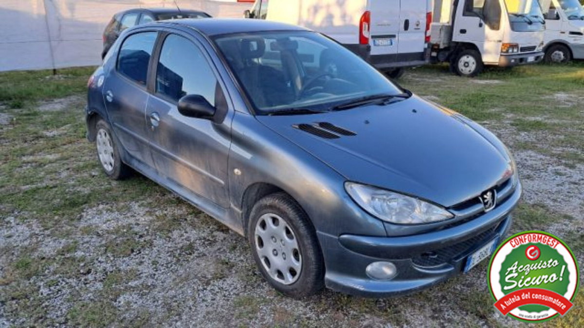 Peugeot 206 5p. Enfant Terrible (9)