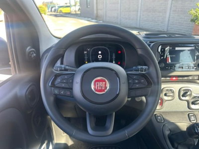 Fiat Pandina 1.0 firefly hybrid Icon s&s 65cv (10)
