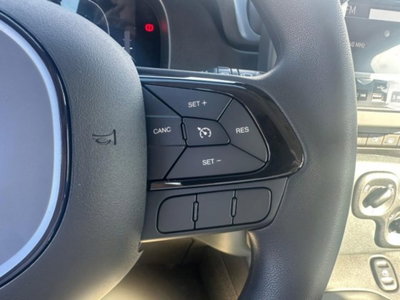Fiat Pandina 1.0 firefly hybrid Icon s&s 65cv (14)
