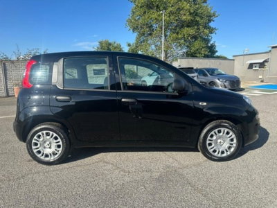 Fiat Pandina 1.0 firefly hybrid Icon s&s 65cv (17)