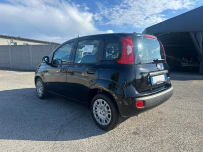 Fiat Pandina 1.0 firefly hybrid Icon s&s 65cv (19)