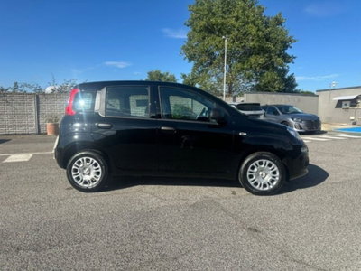 Fiat Pandina 1.0 firefly hybrid Icon s&s 65cv (2)