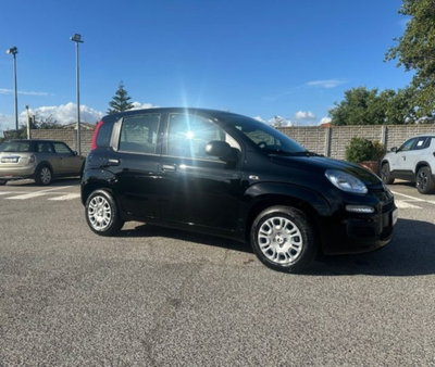 Fiat Pandina 1.0 firefly hybrid Icon s&s 65cv (3)