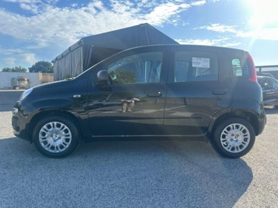 Fiat Pandina 1.0 firefly hybrid Icon s&s 65cv (5)