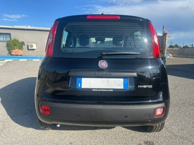 Fiat Pandina 1.0 firefly hybrid Icon s&s 65cv (6)