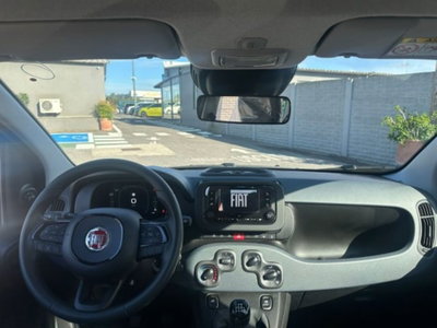 Fiat Pandina 1.0 firefly hybrid Icon s&s 65cv (7)