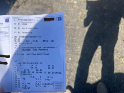 Jeep Renegade 1.6 Mjt 120 CV Longitude (4)