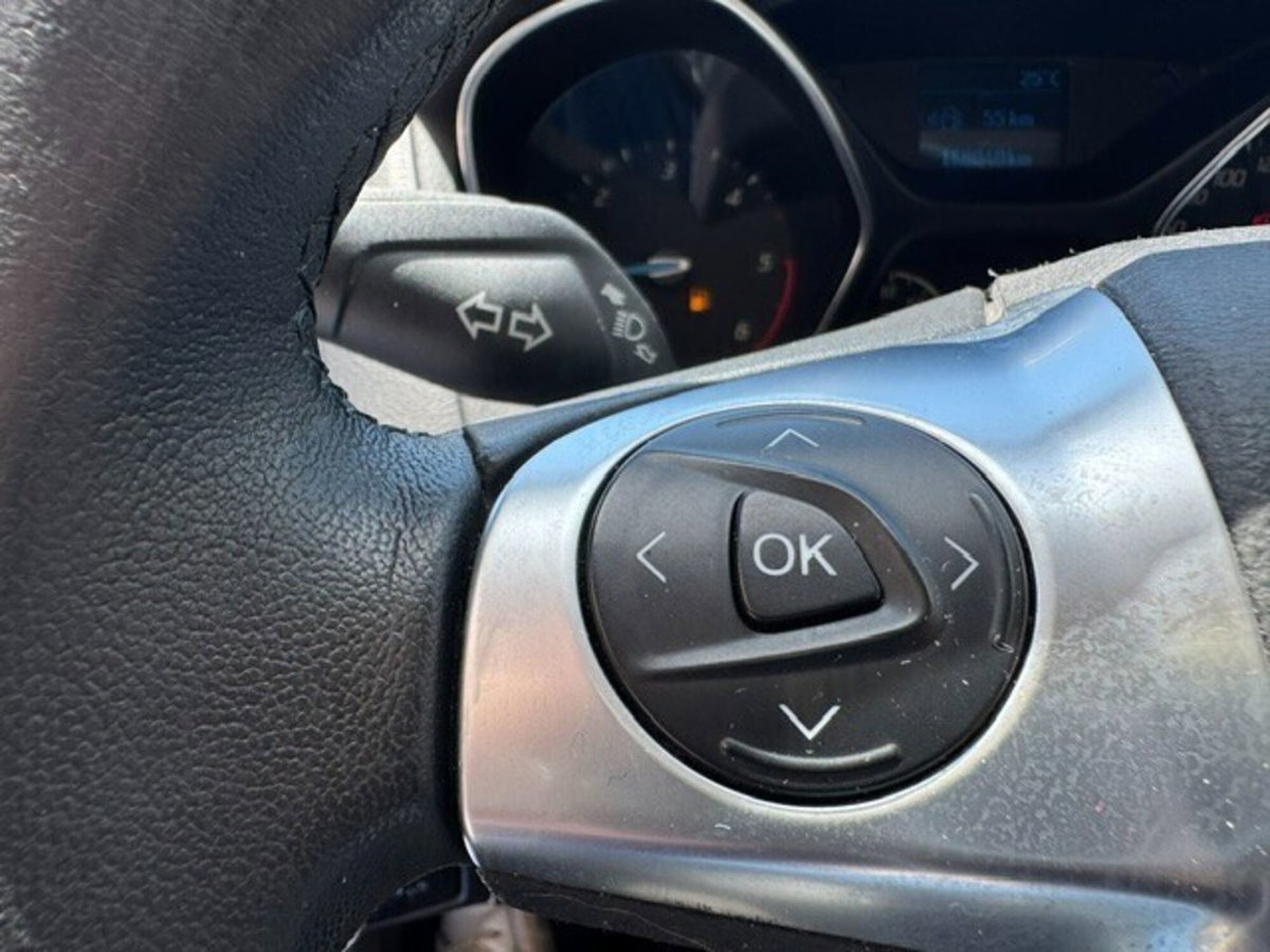 Ford Focus 1.6 TDCi 115 CV (19)